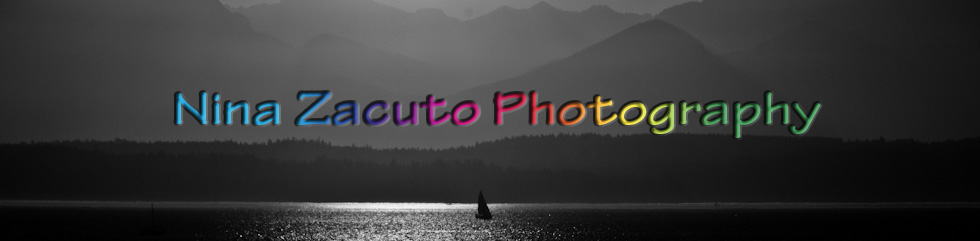 Nina Zacuto Photography