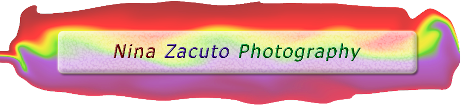 Nina Zacuto Photography